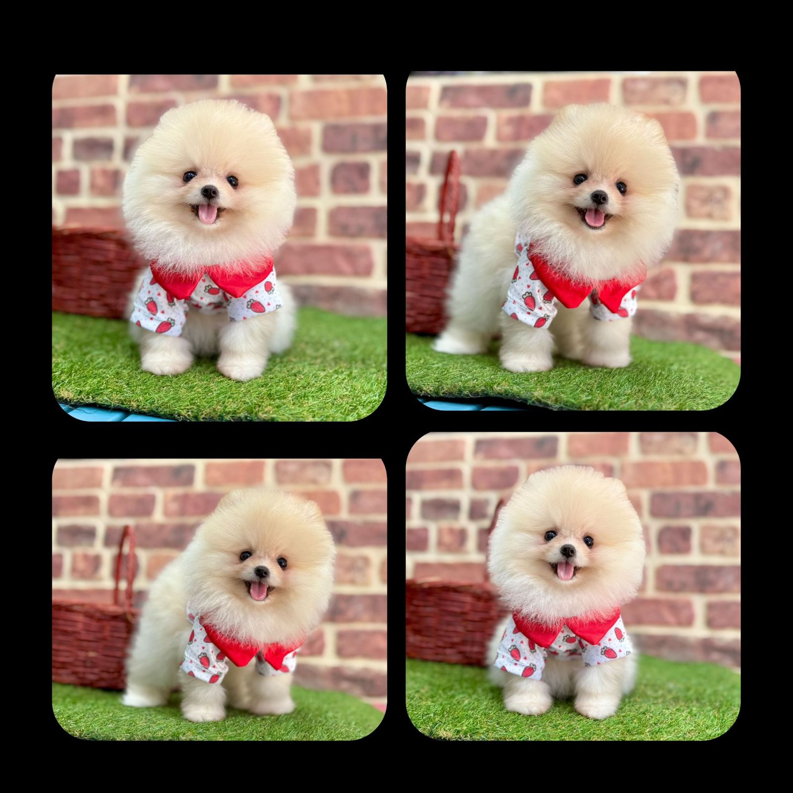 Sesli sohbet siteleri